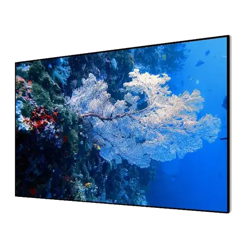 Экран для проектора